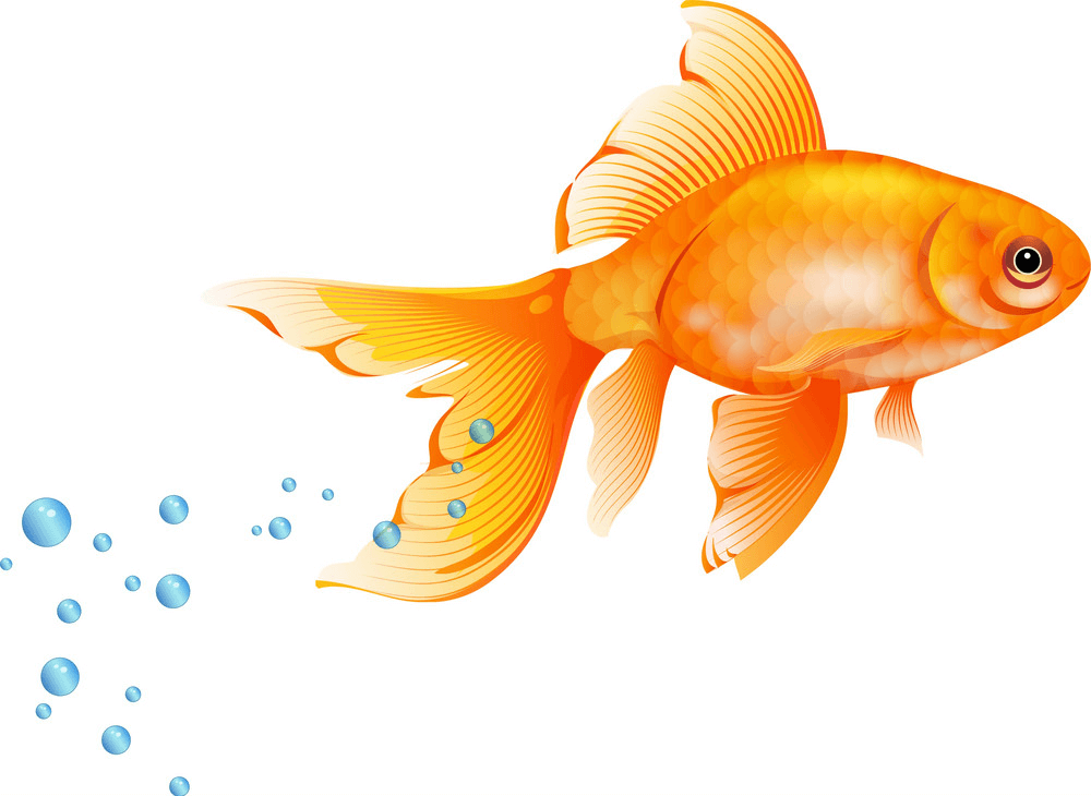 金魚が泳ぐイラスト イラスト
