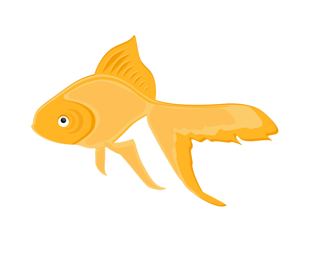 金魚のイラスト 透明1 イラスト