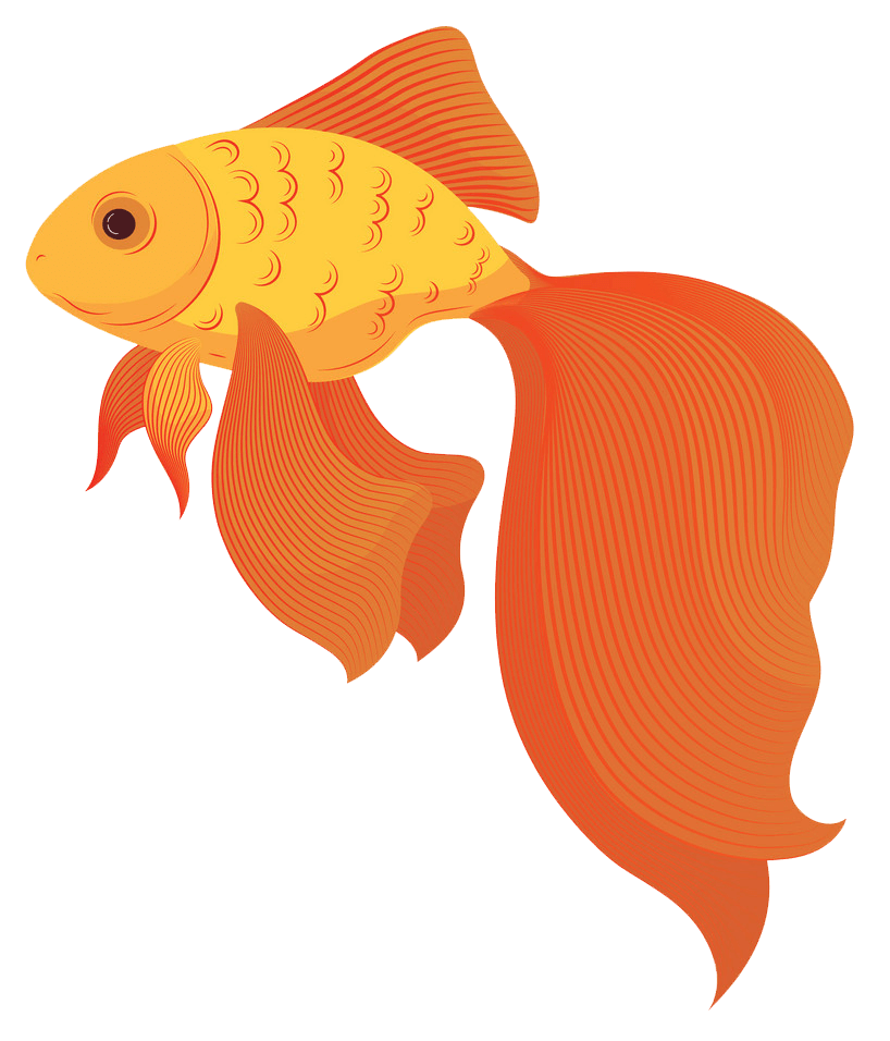金魚のイラスト 透明2 イラスト