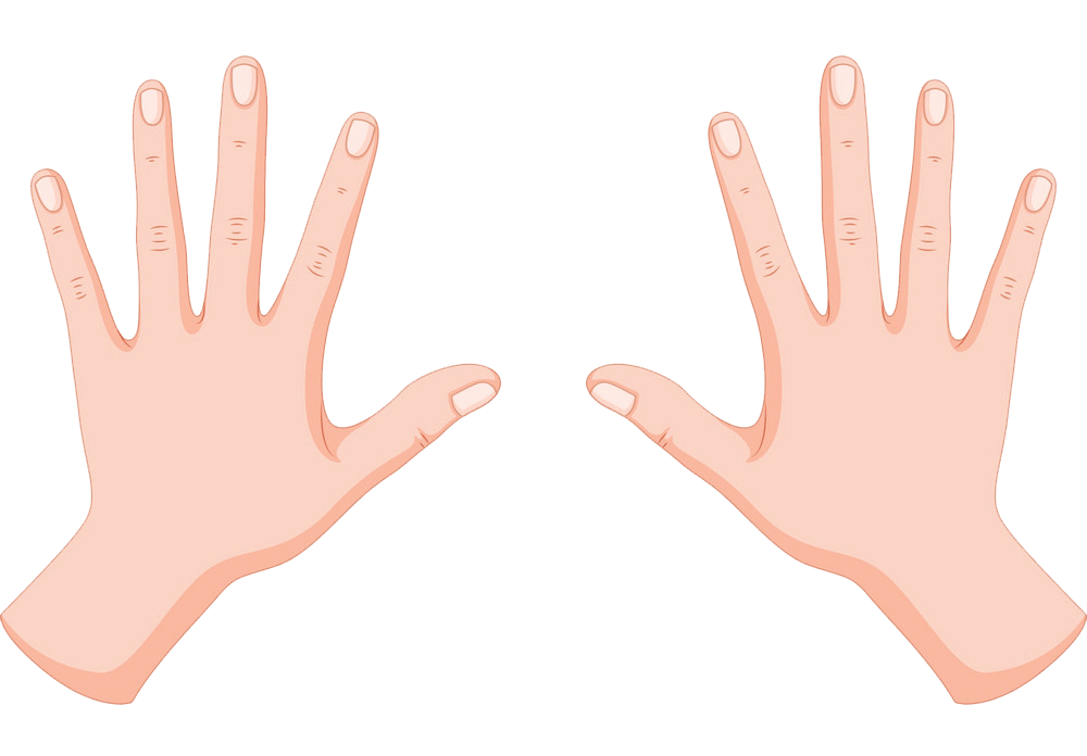 人間の手のイラスト透明