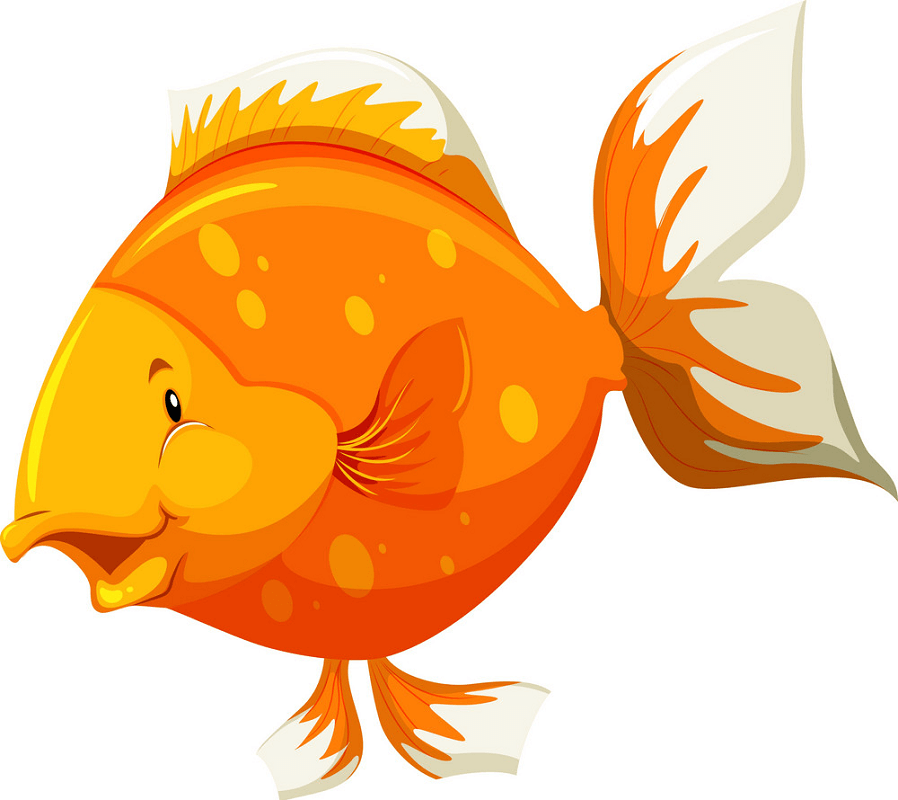 面白い金魚のイラスト イラスト
