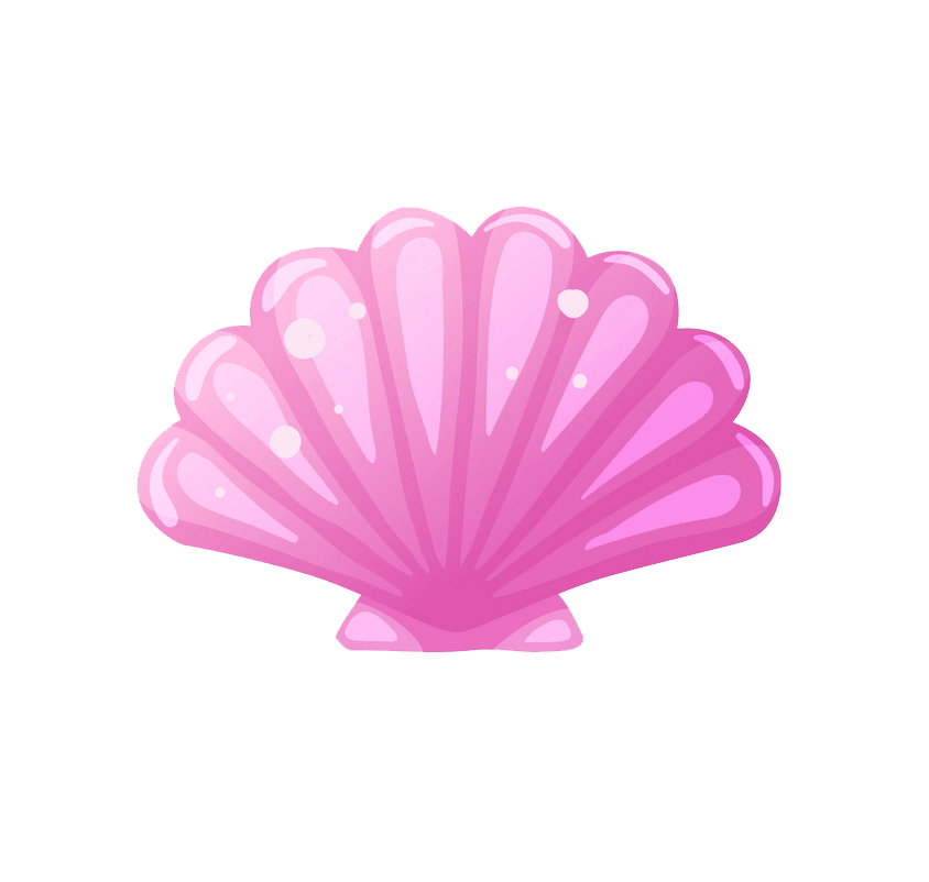 ピンクの貝殻 イラスト透明 イラスト