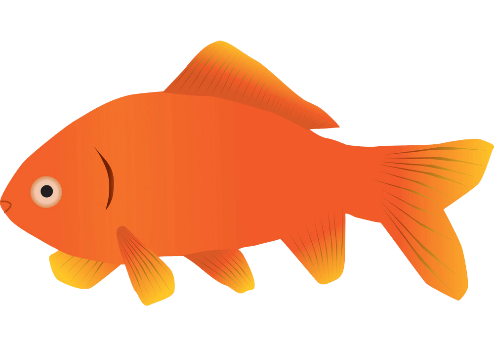 シンプルな金魚のイラスト透明 イラスト