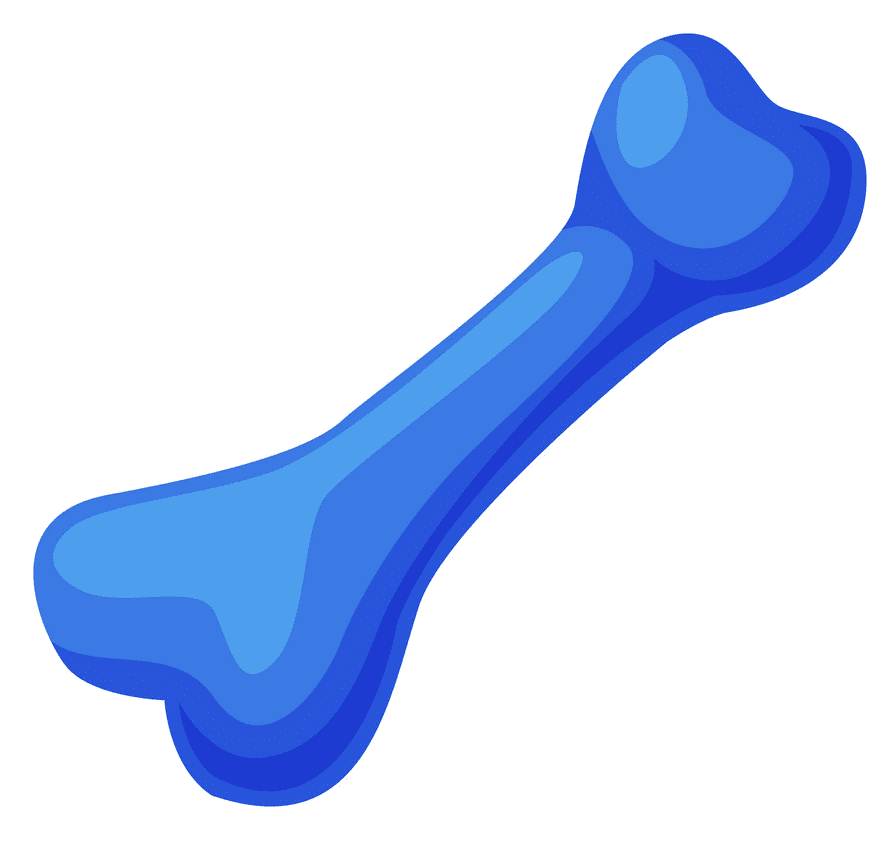 青い犬の骨の図