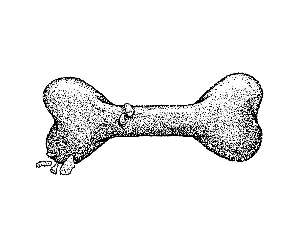 犬の骨のイラスト9 イラスト