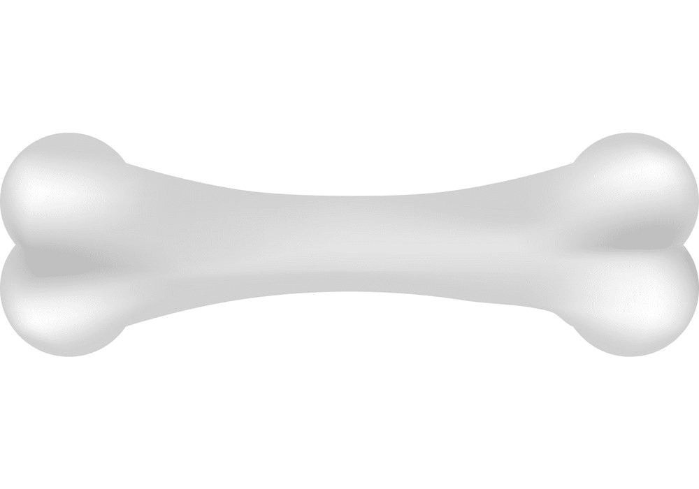 犬の骨のイラスト