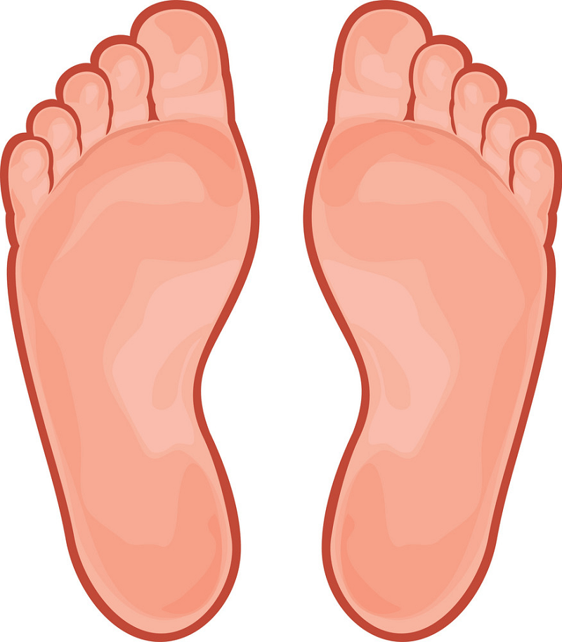 足のイラスト 背景透明 イラスト