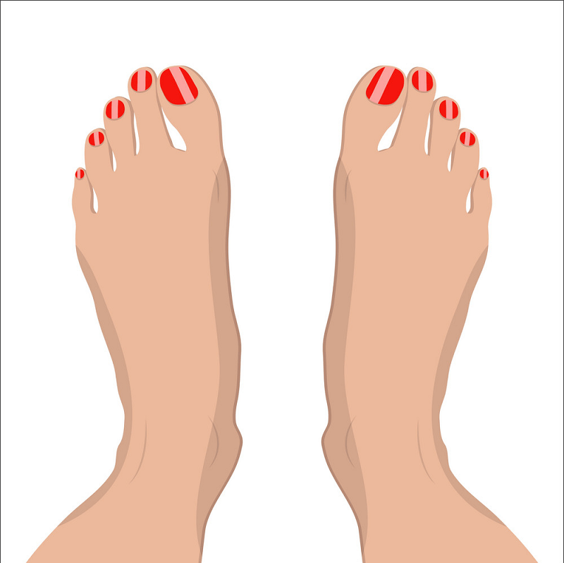 女性の足のイラスト イラスト