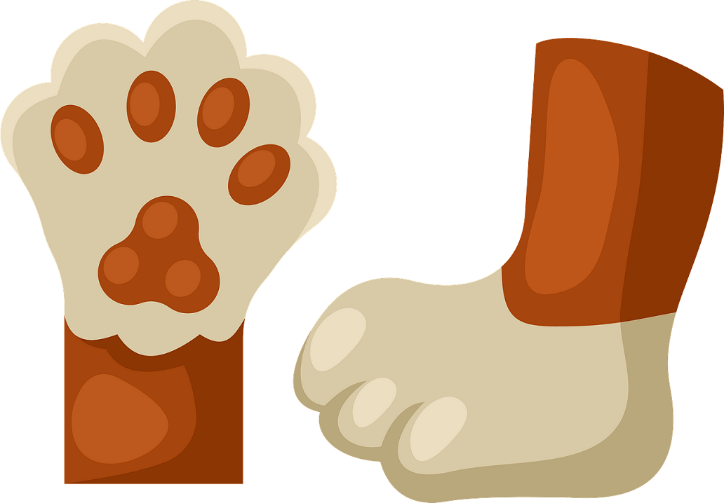 猫の足のイラスト