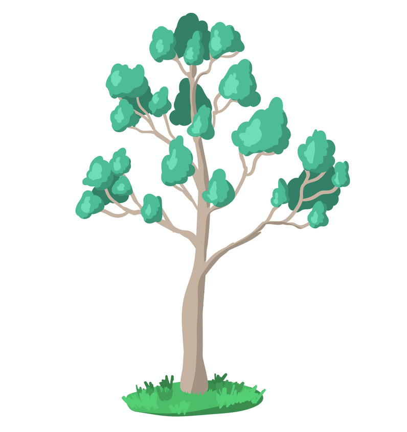 ユーカリの木のイラスト
