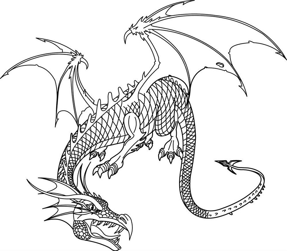 ドラゴン イラスト 白黒