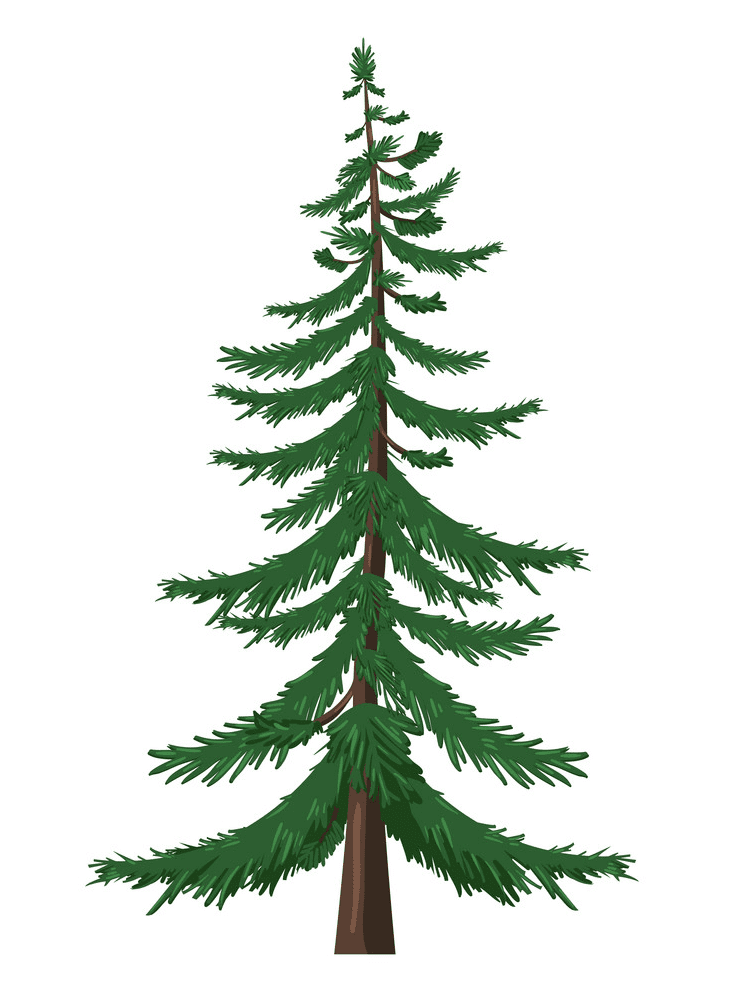 松の木のイラスト無料2 イラスト