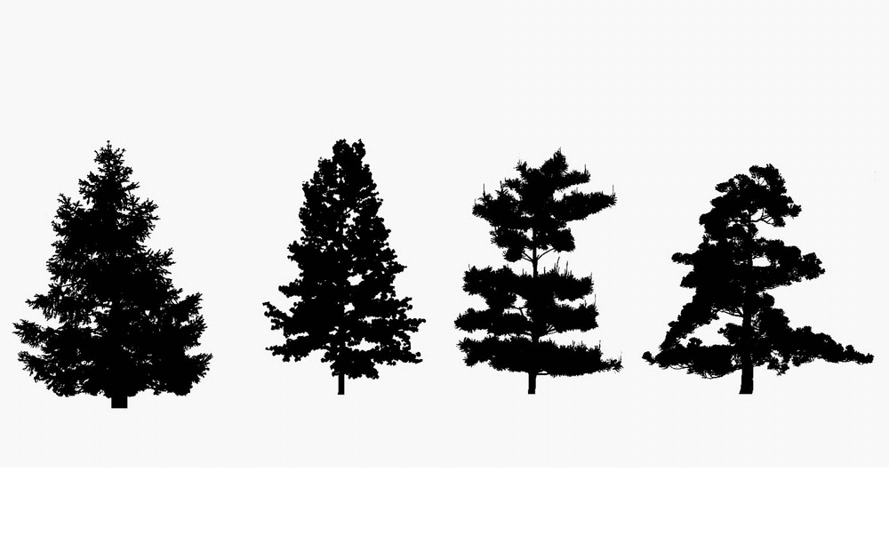 松の木のシルエットイラスト１ イラスト