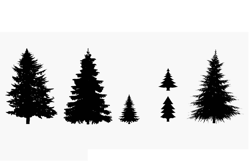 松の木のシルエットイラスト２ イラスト