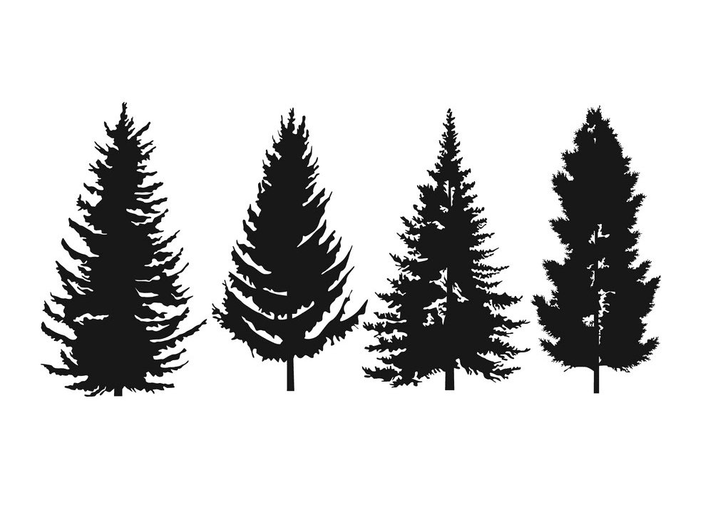 松の木のシルエットイラスト4 イラスト