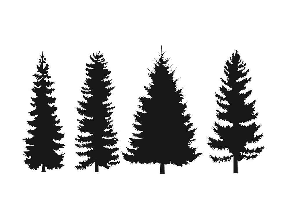 松の木のシルエットイラスト5 イラスト