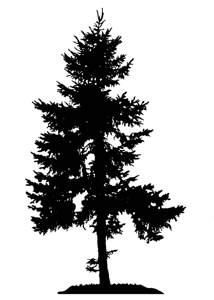松の木のシルエット イラスト 無料 イラスト