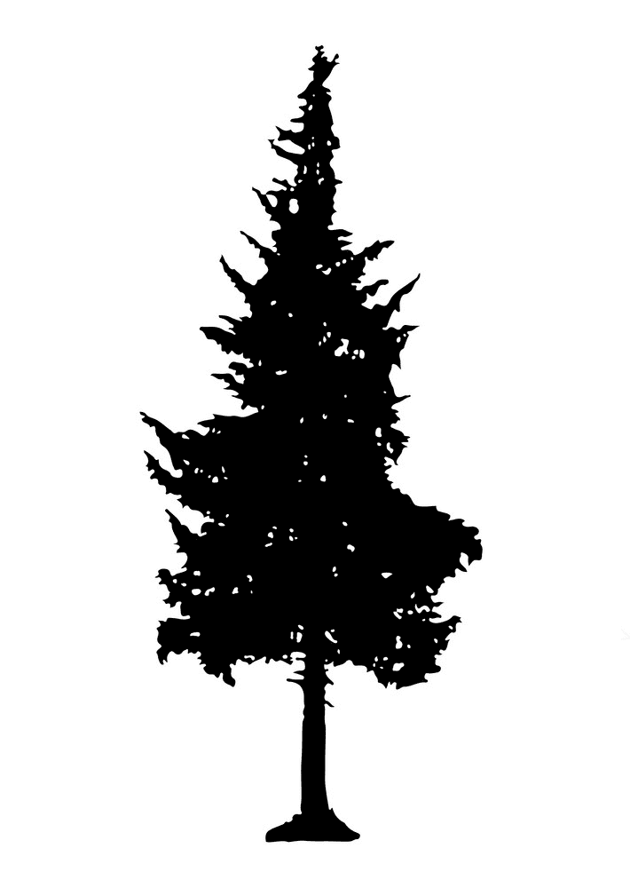 松の木のシルエットイラストpng イラスト