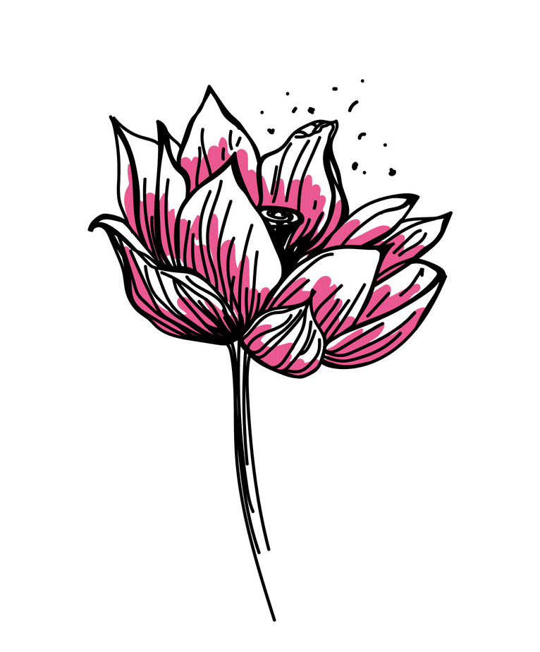蓮の花のイラスト 1 イラスト