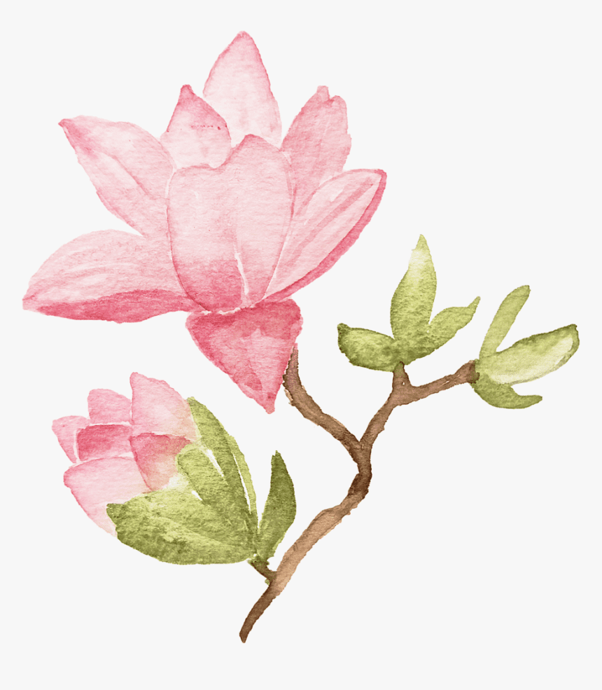 蓮の花のイラスト 10