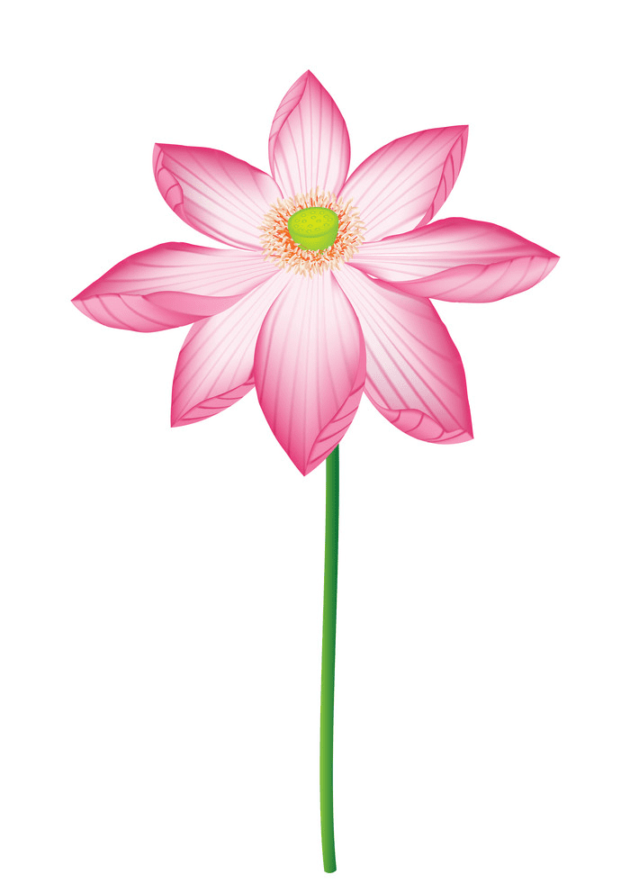 蓮の花のイラスト 無料画像 イラスト
