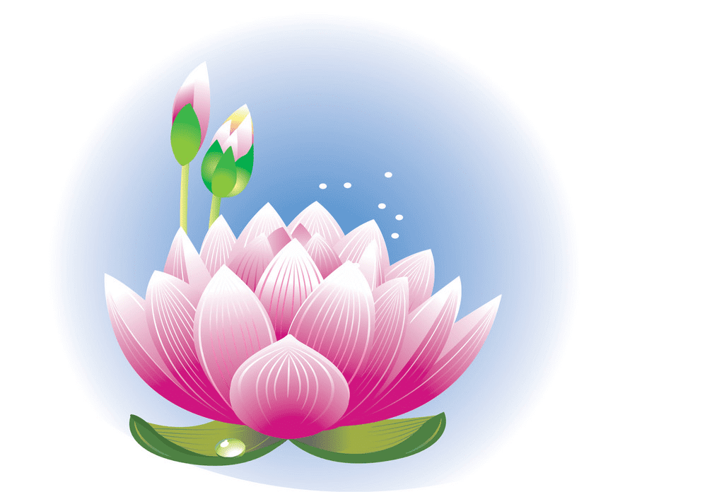 蓮の花のイラスト PNG イメージ