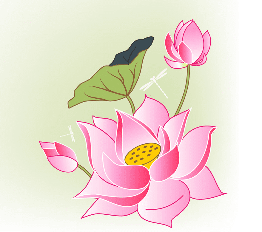 蓮の花のイラスト png イメージ