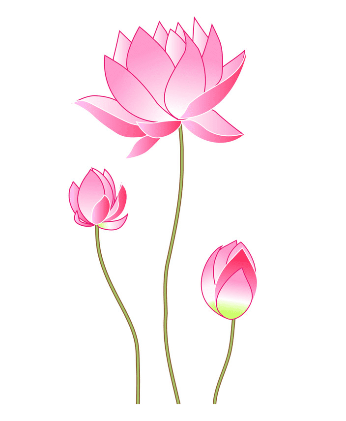蓮の花のイラスト PNG 無料