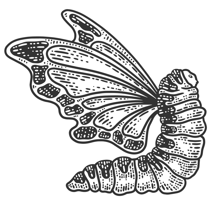 芋虫から蝶 イラスト 無料