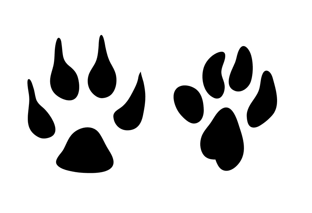 犬の足跡 イラストイメージ