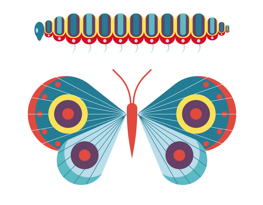 毛虫から蝶のイラストpng無料 イラスト