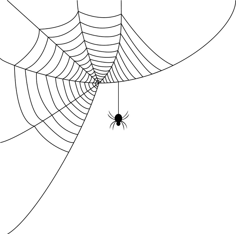 蜘蛛の巣 イラスト画像