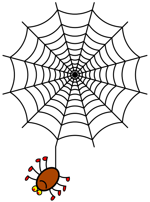 蜘蛛の巣 イラスト 背景透明1