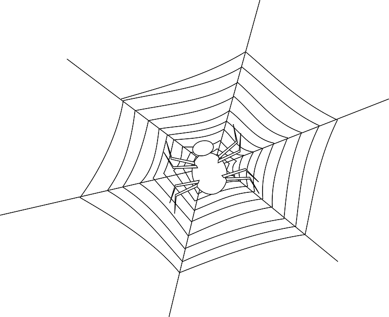 蜘蛛の巣 イラスト 背景透明 10