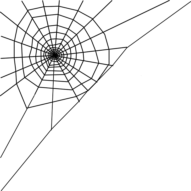 蜘蛛の巣 イラスト 背景透明 11 イラスト