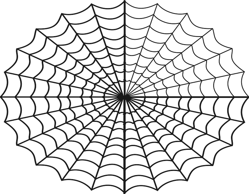 蜘蛛の巣 イラスト 背景透明 3