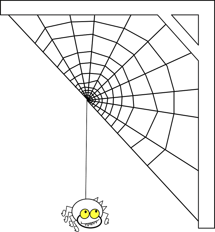 蜘蛛の巣 イラスト 背景透明 4