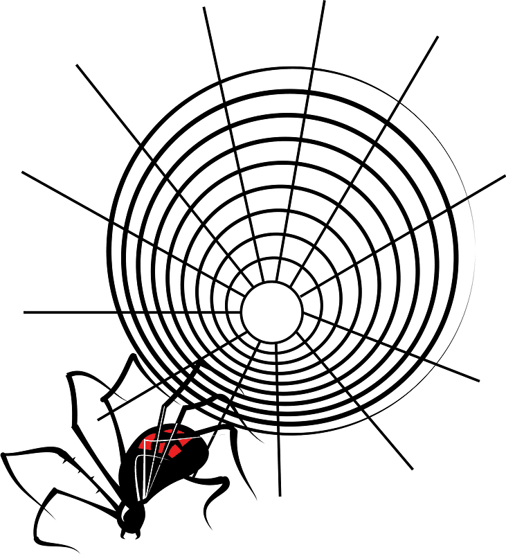 蜘蛛の巣 イラスト 背景透明 5