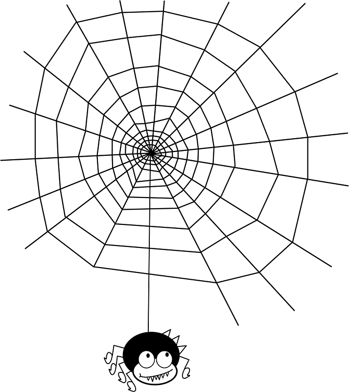 蜘蛛の巣 イラスト 背景透明 8