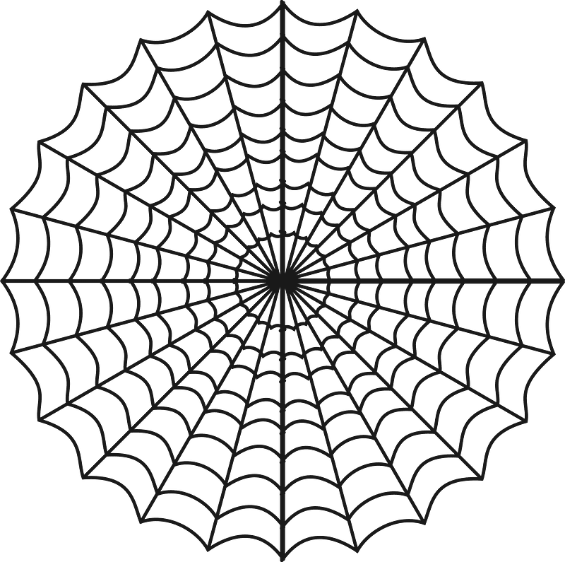 蜘蛛の巣 イラスト 背景透明9