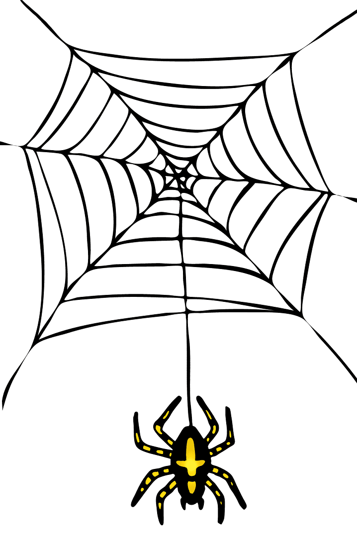 蜘蛛の巣 イラスト 無料 3
