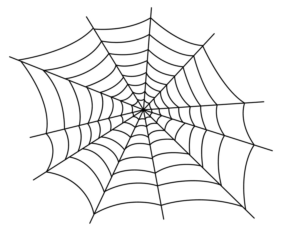 蜘蛛の巣イラスト無料