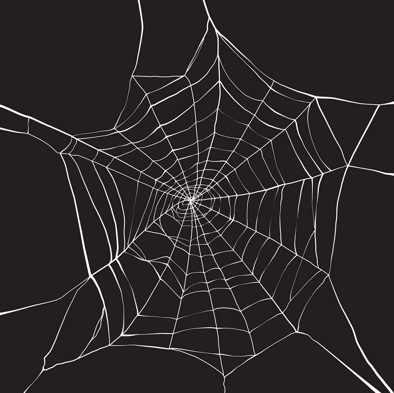 蜘蛛の巣イラスト無料ダウンロード