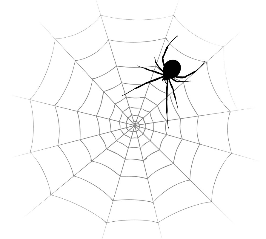 蜘蛛の巣 イラスト 無料画像 イラスト
