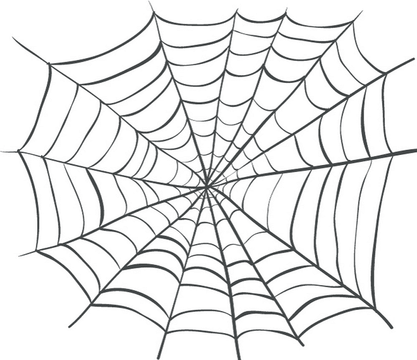 蜘蛛の巣 イラストの画像 イラスト