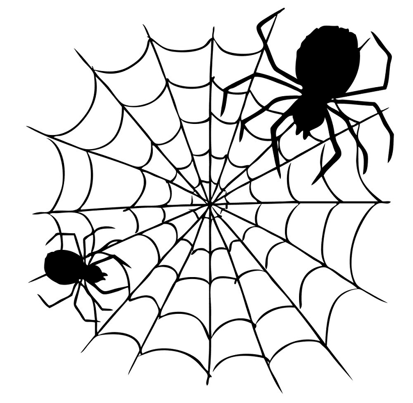 蜘蛛の巣イラストpng画像