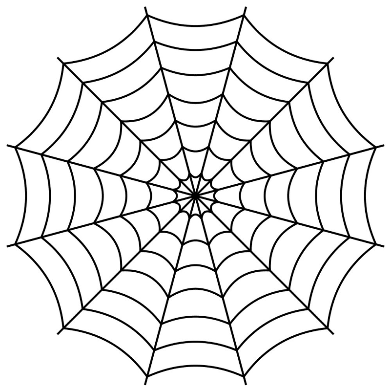 蜘蛛の巣イラストpng