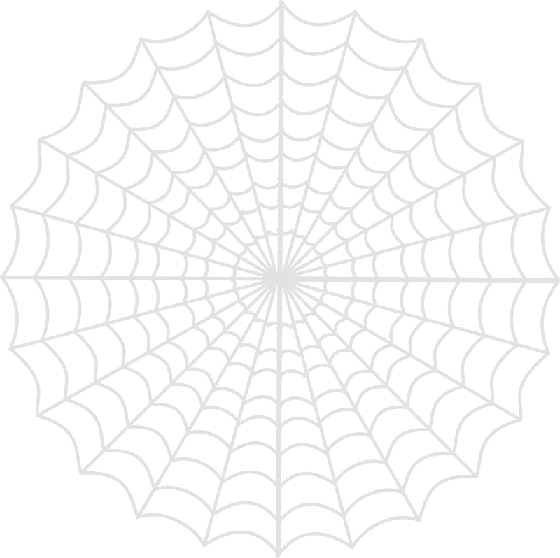 蜘蛛の巣 イラスト 透明10 イラスト