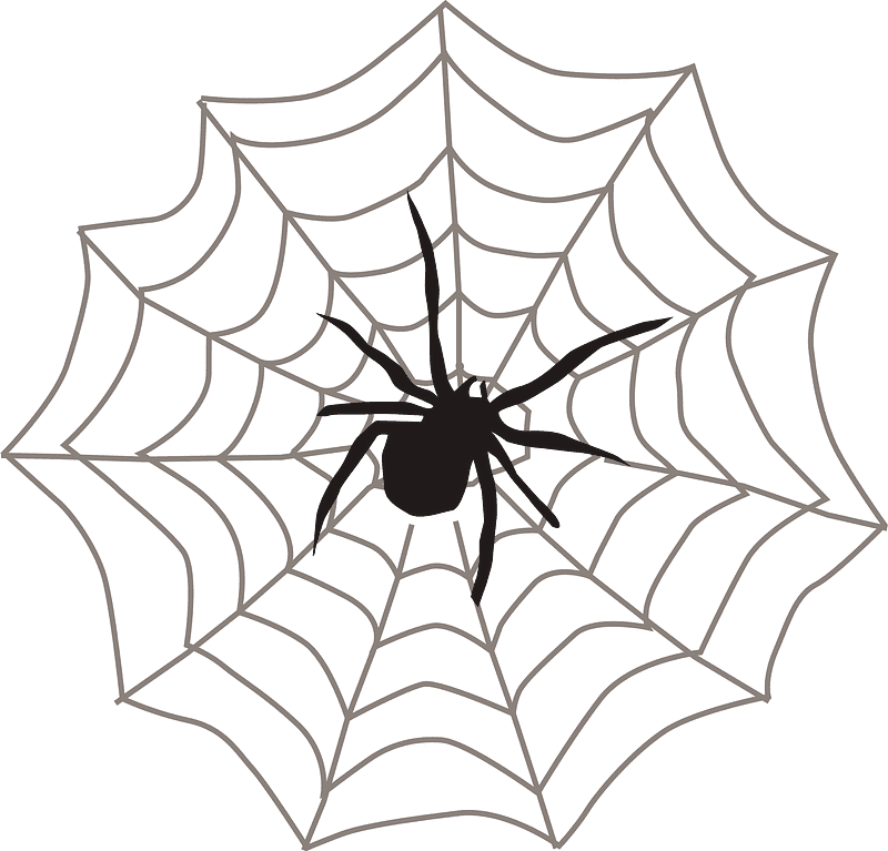 蜘蛛の巣 イラスト 透明13