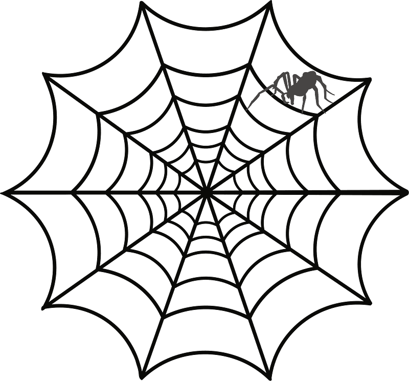 蜘蛛の巣 イラスト 透明15